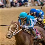 how to bet at the kentucky derby